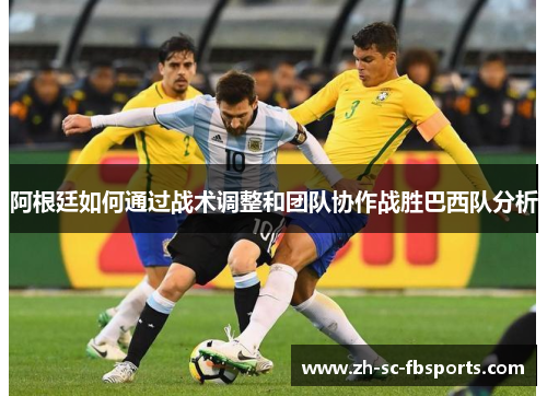 阿根廷如何通过战术调整和团队协作战胜巴西队分析
