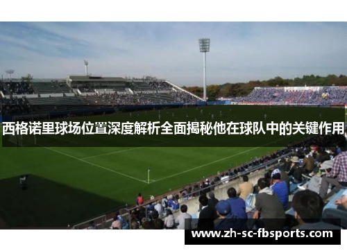西格诺里球场位置深度解析全面揭秘他在球队中的关键作用 西格诺里球场位置深度解析全面揭秘他在球队中的关键作用