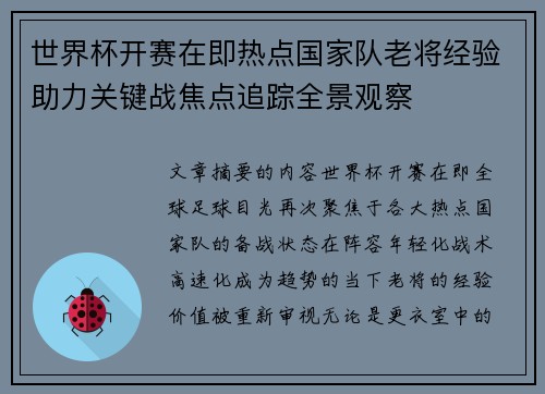 世界杯开赛在即热点国家队老将经验助力关键战焦点追踪全景观察